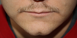 Illustration for article titled Modeck Movember: Day 17 - The Bristling